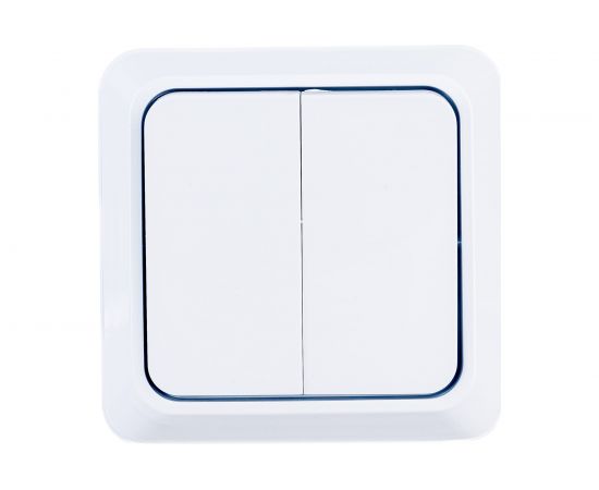 Двухклавишный выключатель Intro Quadro, 10А-250В, IP20, открытая установка, без монтажной пластины, белый, Б0053901 