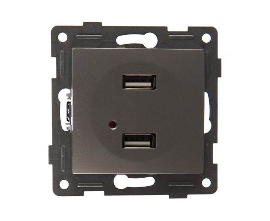 Розетка USB GUSI ELECTRIC Bravo двойная, СУ, серебро С10USB2-004 