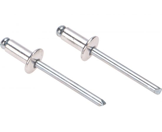 Заклепки REXANT 3,2x10 мм, 50 шт. 12-5343 