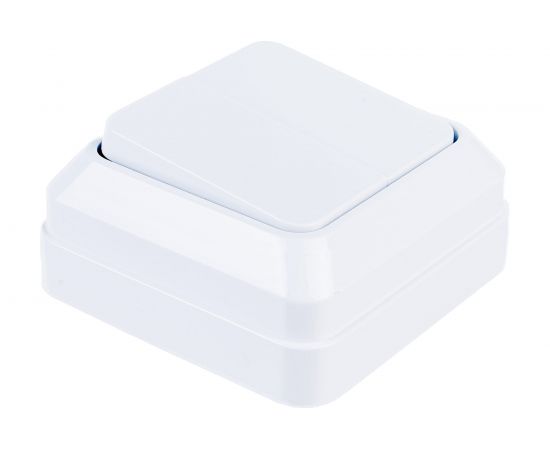 Двухклавишный выключатель Intro Quadro, 10А-250В, IP20, открытая установка, без монтажной пластины, белый, Б0053901 – изображение 3