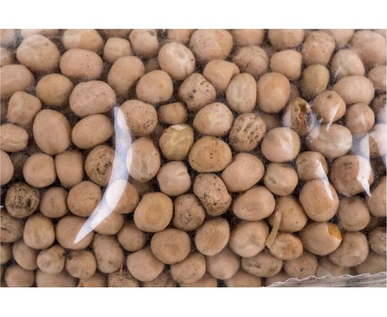 Семена Зеленый уголок Горох посевной, 1 кг 4660001293489 – изображение 3