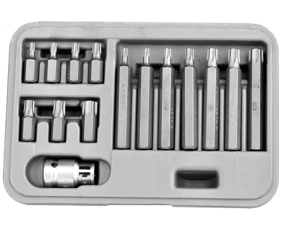 Набор бит Эксперт (15 пр; TORX) в пластиковом боксе Зубр 2651-H15_z01 