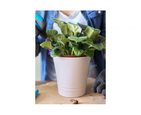 Грунт Сила Суздаля Фиалка 5 л GFT0050 – изображение 3