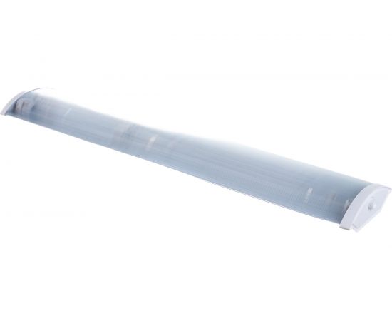 Светильник под 2 лампы Т8 ЭРА ДПО 112х10001 с рассеивателем, 0,6 м, патрон G13 Б0048427 