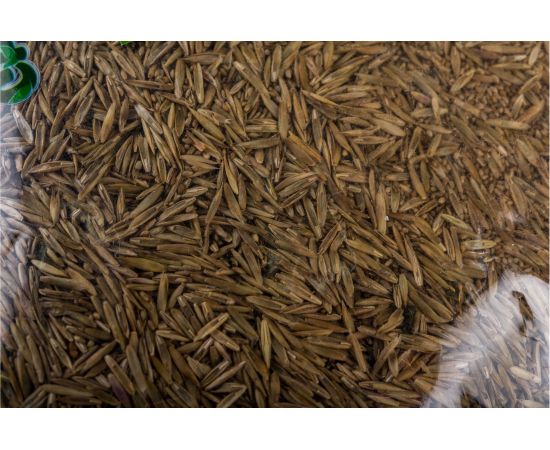 Семена САДОВИТА Газон для спортплощадки эконом 1 кг 00091628 – изображение 2