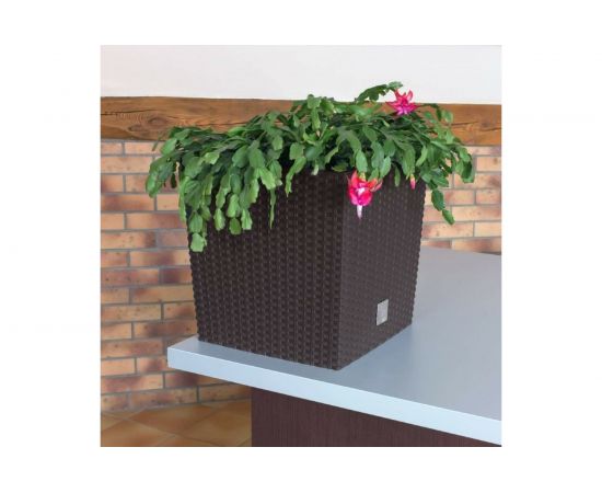 Кашпо для цветов 32 л венге, 2 предмета Prosperplast Rato Low DRTS325L-440U – изображение 3