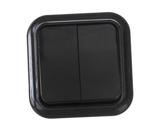 Выключатель Bylectrica 2-клавишная, открытая установка, 6 А, серия ПРАЛЕСКА, А56-134 черный 