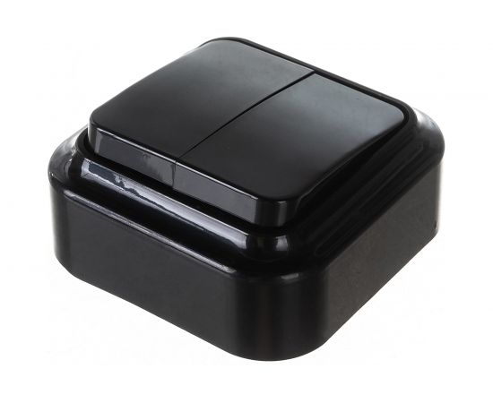 Выключатель Bylectrica 2-клавишная, открытая установка, 6 А, серия ПРАЛЕСКА, А56-134 черный – изображение 2