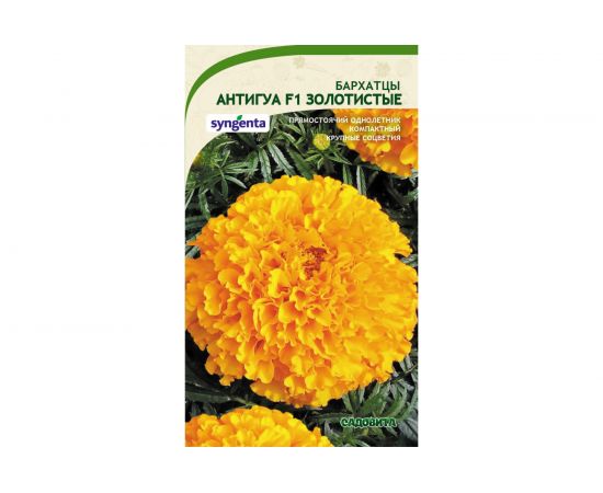 Семена САДОВИТА Бархатцы Антигуа F1 Золотистые 5 семечек 00161769 