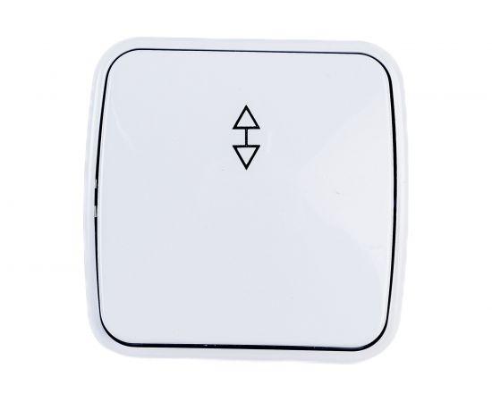1-клавишный переключатель на 2 направления TDM открытой установки IP20 10А, белый ""Дача"" Народная SQ1824-0003 