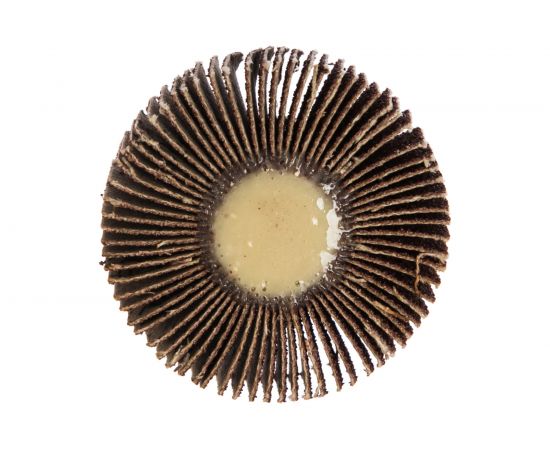 Круг лепестковый с оправкой (50х15мм; P 80) ПРАКТИКА 648-991 