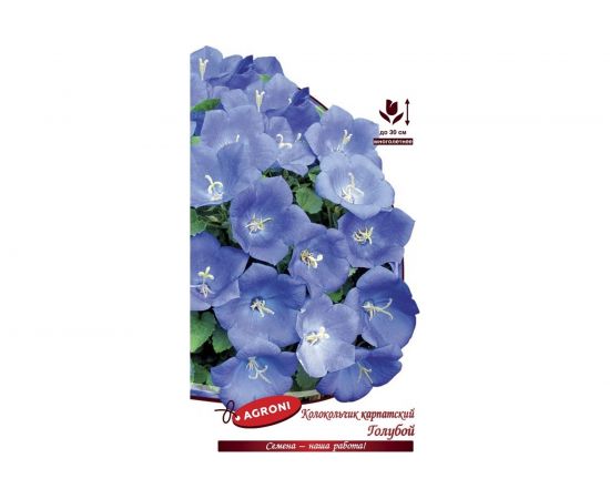Семена Агрони Колокольчик карпатский ГОЛУБОЙ 5107 