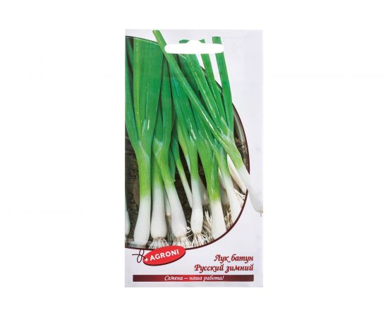 Семена Агрони Лук-батун РУССКИЙ ЗИМНИЙ 3943 