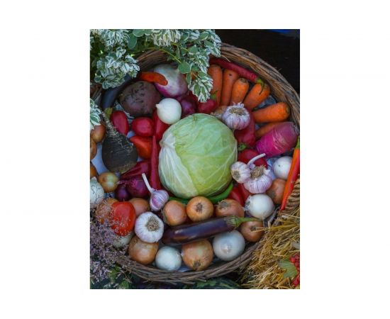 Грунт Сила Суздаля Универсальный 50 л 4680004060512 – изображение 2