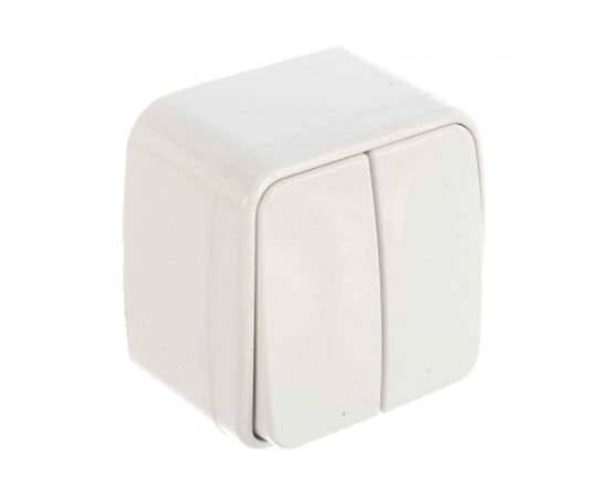 Двухклавишный выключатель STEKKER открытой установки 250В 10А, белый, серия Basic PSW10-42-20 39032 – изображение 2