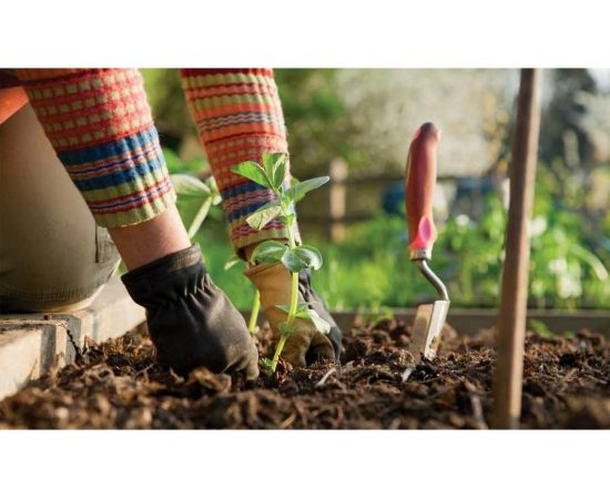 Грунт Сила Суздаля Универсальный 50 л 4680004060512 – изображение 4