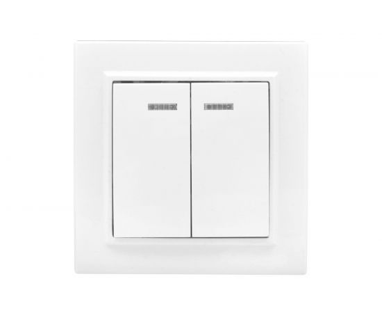 Двухклавишный выключатель с индикатором EKF Минск СП, 10А, белый Basic SQERV10-123-10 