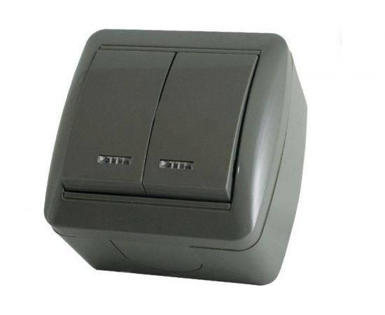 2-клавишный выключатель TDM открытой установки с подсветкой IP44 10А серый "Селигер" SQ1818-0104 