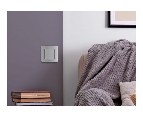 Одноклавишный выключатель Legrand - INSPIRIA - 10 AX - 250 В - алюминий 673602 – изображение 6