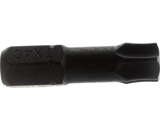 Бита IMPACT Torsion (10 шт; T40; 25 мм) для ударного импульсного инструмента D.BOR D-IT-T40-025-010 – изображение 3