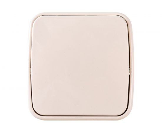 Выключатель Intro Polo 3-101-02 10A-250В, IP20, открытая установка, слоновая кость, Б0053526 – изображение 2