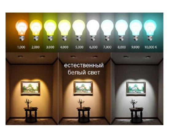 Светодиодная лампа ECON LED R50 9Вт E14 4200K ES 759010 – изображение 4