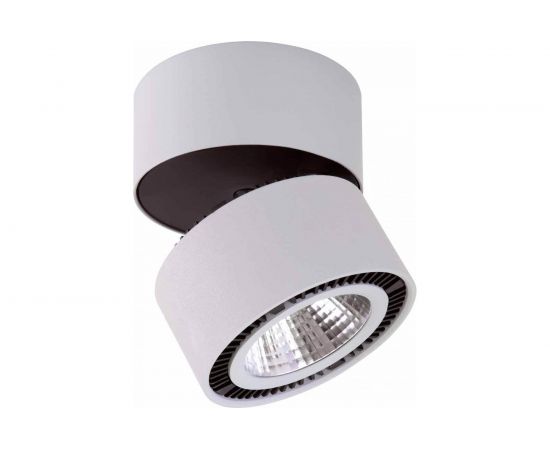 Потолочный светодиодный светильник Lightstar 214859 