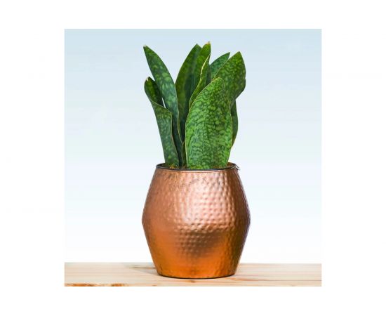 Декоративная краска Elcon Decor зеркальная медь, аэрозоль 520 мл 00-00002994 – изображение 5