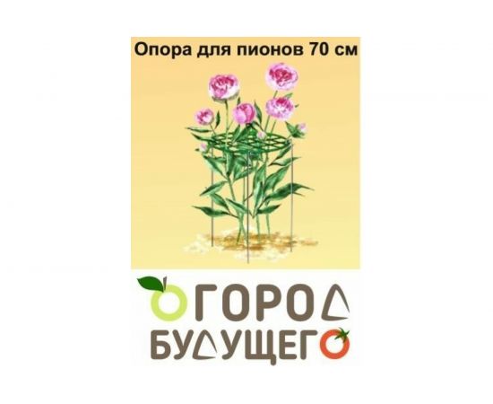 Опора для пионов Удачный сезон d=35 см, h=70 см 5005 – изображение 9