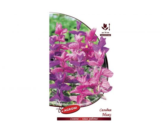 Семена Агрони Сальвия МИКС 3240 – изображение 2