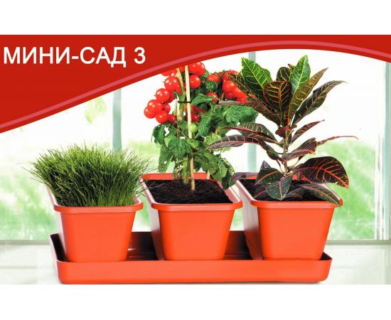 Набор горшков с поддоном Darel Plastic 5 0440 МИНИ САД 3 шт., 33 см, терракотовый 039224 – изображение 2