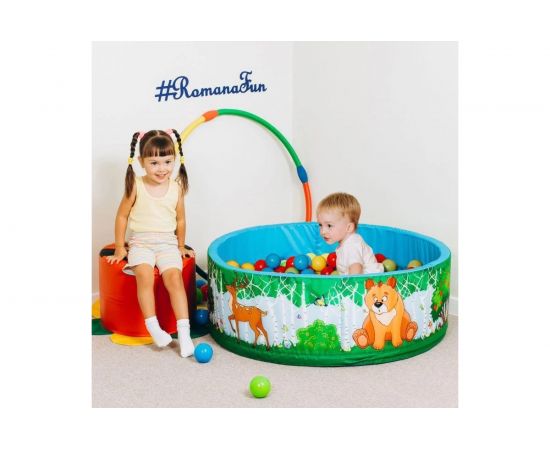 Сухой бассейн Romana Зверята ДМФ-МК-02.52.01 СГ000002750 – изображение 4