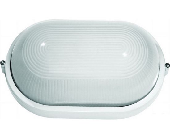 Светильник Camelion НБП 04-100-001 1202S C01, до 130 оС, овал, УХЛ1, ""Открытый"", 230В, 100Вт 13661 