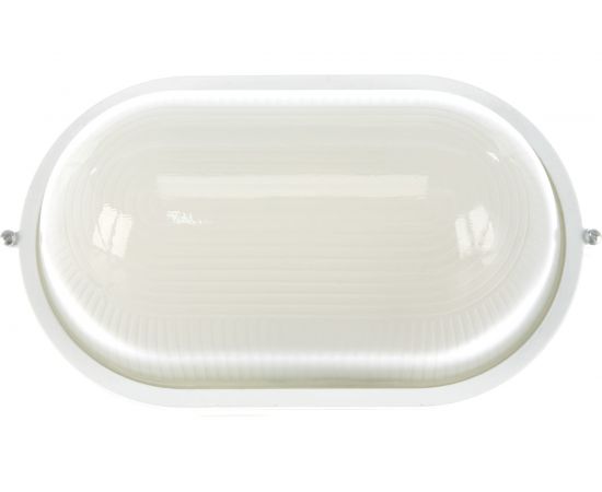 Светильник Camelion НБП 04-100-001 1202S C01, до 130 оС, овал, УХЛ1, ""Открытый"", 230В, 100Вт 13661 – изображение 2