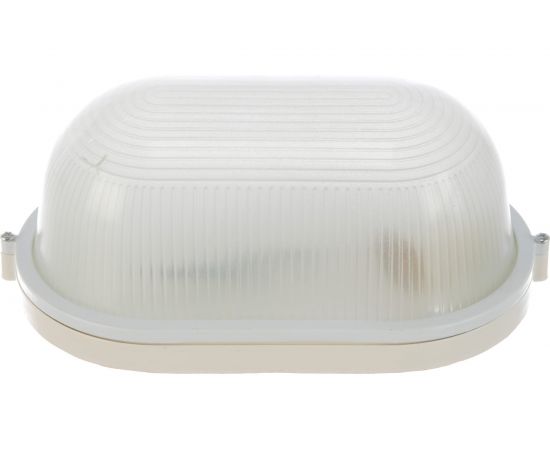 Светильник Camelion НБП 04-100-001 1202S C01, до 130 оС, овал, УХЛ1, ""Открытый"", 230В, 100Вт 13661 – изображение 3