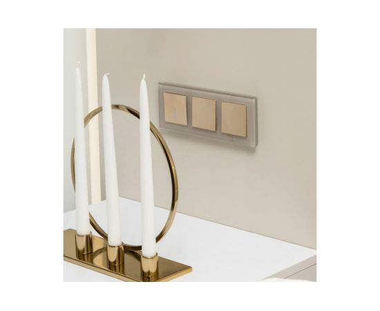 Выключатель WERKEL W1110110 одноклавишный с подсветкой шампань рифленый a051413 – изображение 3