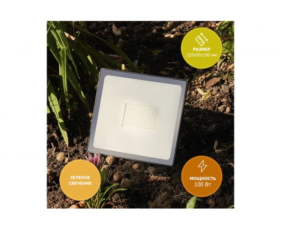 Светодиодный прожектор REXANT 100 Вт зеленое свечение 605-018 – изображение 3