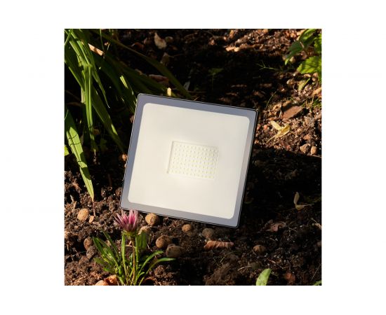 Светодиодный прожектор REXANT 100 Вт зеленое свечение 605-018 – изображение 4