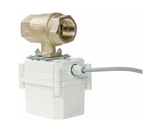 Gidrolock ШЭП PROFESSIONAL 220V BONOMI 1 11022033 