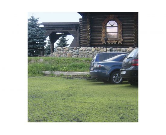 Газонная решетка Gidrolica 600х600х40 мм, пластиковая, черная 606 – изображение 3