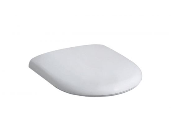 Сиденье для унитаза GEBERIT Renova Nr.1 DIN 19516 крепления нержавеющая сталь 573015000 00000045321 