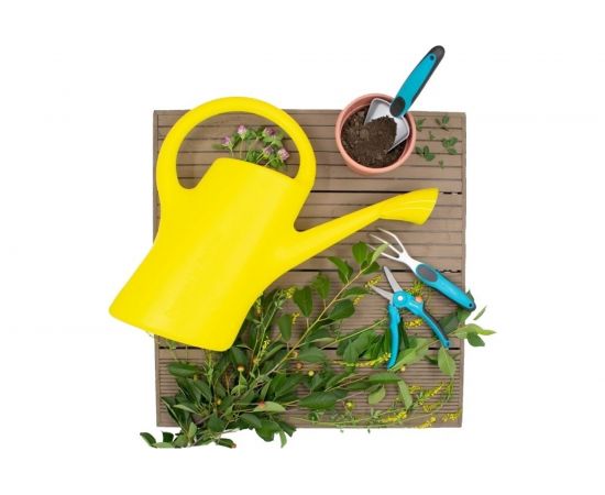 Лейка с рассеивателем Radivas желтая, 7 л G1-1-003 – изображение 2