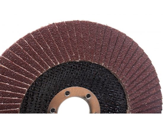 Диск лепестковый (125х22.2 мм; Р100) Tulips tools EA06-810 – изображение 3