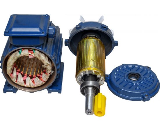 Электродвигатель ТМ БЭЗ АИР 56A4 IM1081 0,12 кВт, 1500 об/мин 77569 – изображение 5