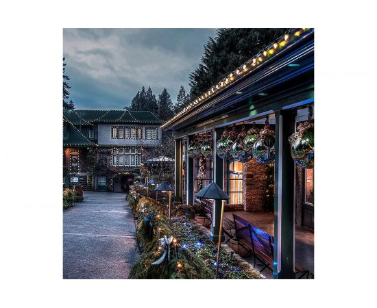 Гирлянда FERON Белт-лайт CL50-50, 230V, черный, IP65, 50 м 29881 – изображение 4