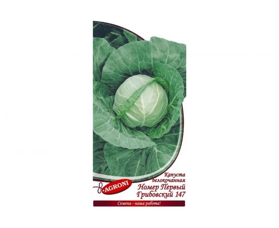 Семена Агрони Капуста белокочанная НОМЕР ПЕРВЫЙ ГРИБОВСКИЙ 147 5978 – изображение 2