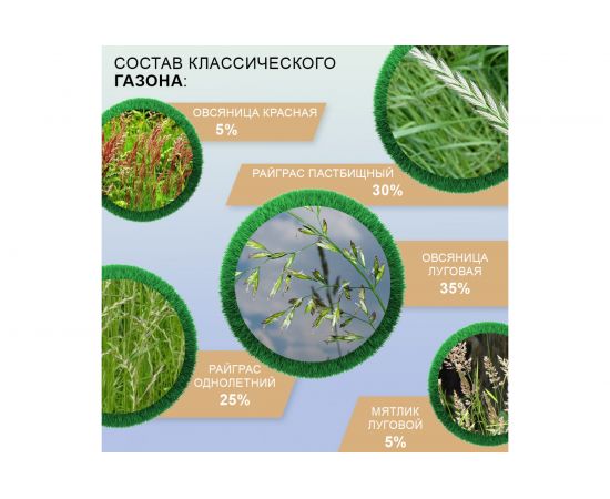 Семена газона Мираторг Классический газон 1 кг 1010024669 – изображение 3