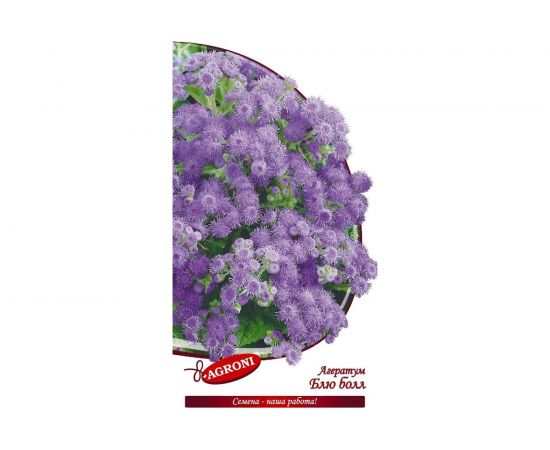 Семена Агрони Агератум БЛЮ БОЛ 4896 – изображение 2