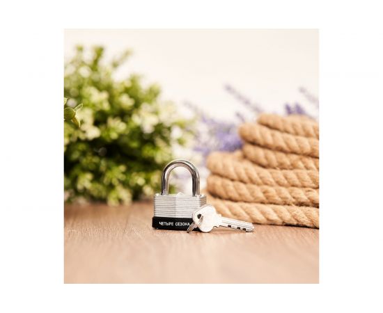 Навесной замок ЧЕТЫРЕ СЕЗОНА ССН-40 79-0134 – изображение 4