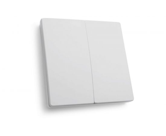 Двухклавишный выключатель дистанционного управления FERON 250V 500W TM82 41129 